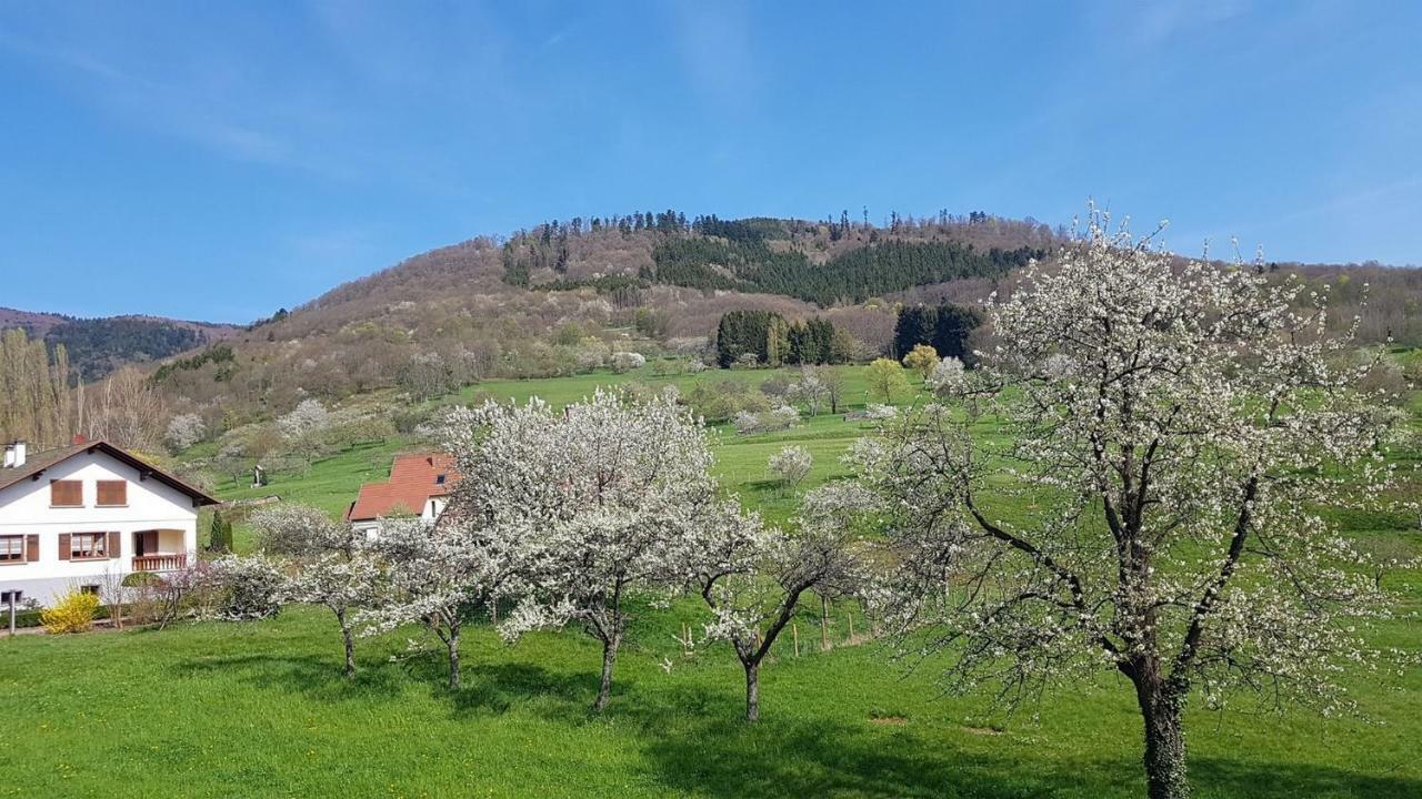 Le Breit Maison De Charme Avec Sa Dependance Breitenbach المظهر الخارجي الصورة